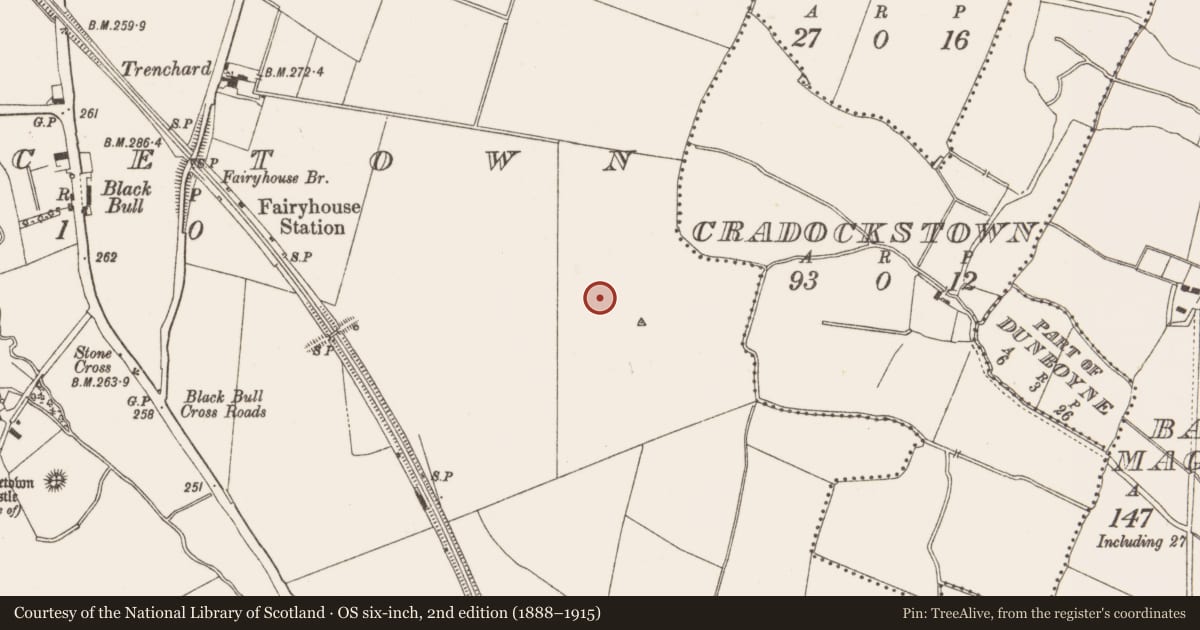 Ordnance Survey six-inch map, 2nd edition (1888–1915) covering the location of Enclosure, Piercetown, County Meath, with a pin at the register's coordinates