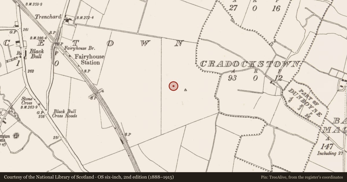 Ordnance Survey six-inch map, 2nd edition (1888–1915) covering the location of Kiln - corn-drying, Piercetown, County Meath, with a pin at the register's coordinates