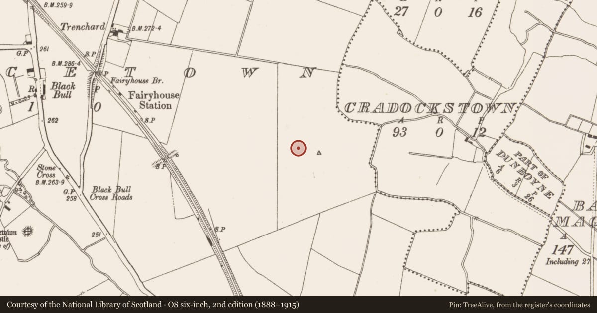 Ordnance Survey six-inch map, 2nd edition (1888–1915) covering the location of Kiln - corn-drying, Piercetown, County Meath, with a pin at the register's coordinates