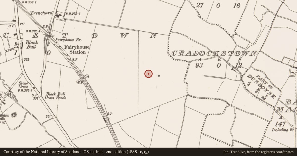 Ordnance Survey six-inch map, 2nd edition (1888–1915) covering the location of Kiln - corn-drying, Piercetown, County Meath, with a pin at the register's coordinates