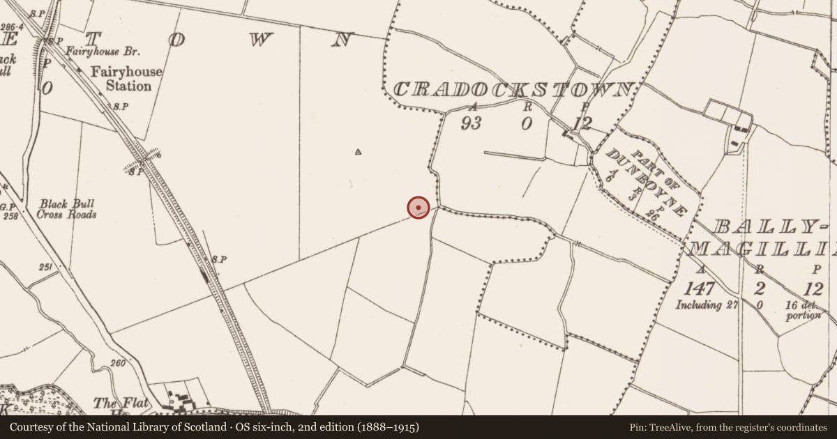 Ordnance Survey six-inch map, 2nd edition (1888–1915) covering the location of Ring-ditch, Piercetown, County Meath, with a pin at the register's coordinates