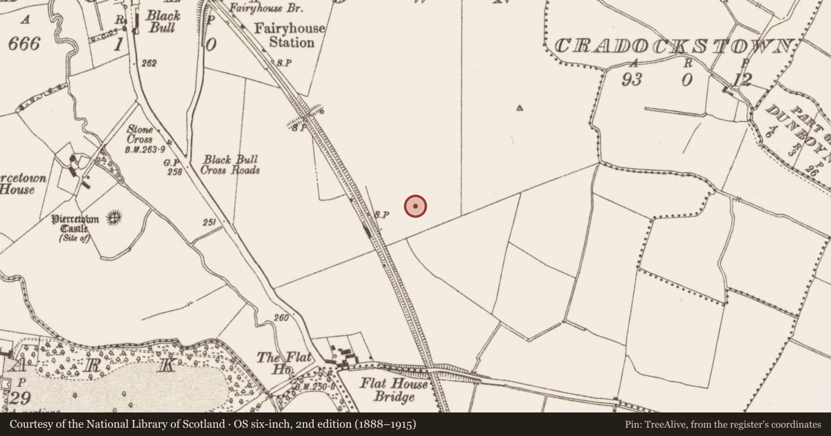 Ordnance Survey six-inch map, 2nd edition (1888–1915) covering the location of Kiln - corn-drying, Piercetown, County Meath, with a pin at the register's coordinates