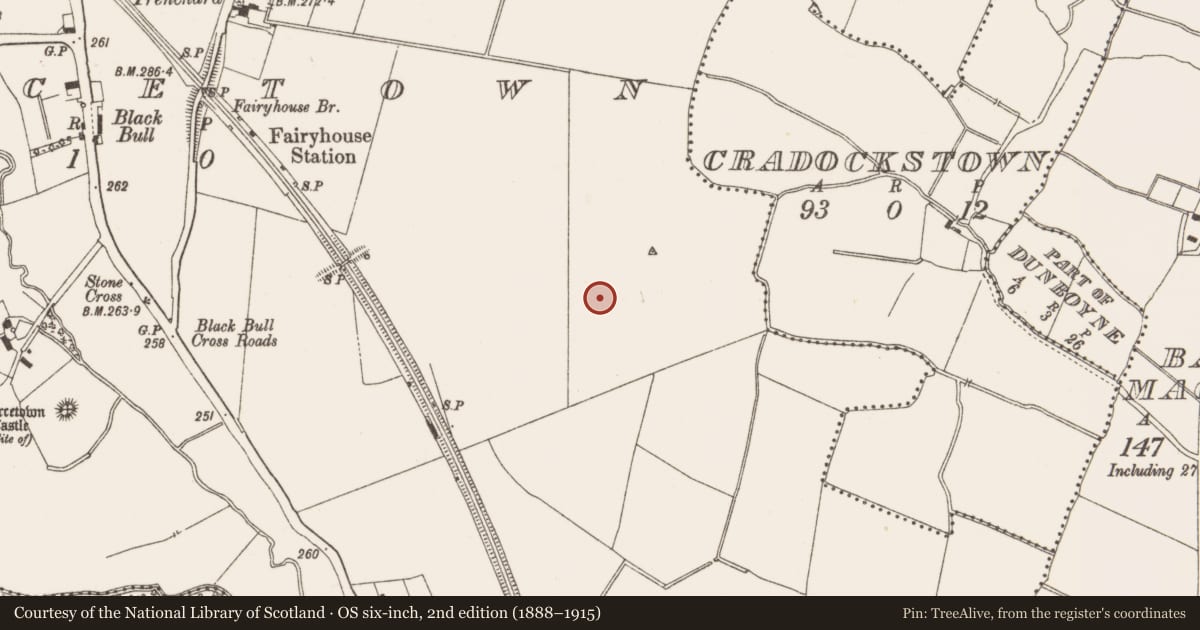 Ordnance Survey six-inch map, 2nd edition (1888–1915) covering the location of Kiln - corn-drying, Piercetown, County Meath, with a pin at the register's coordinates