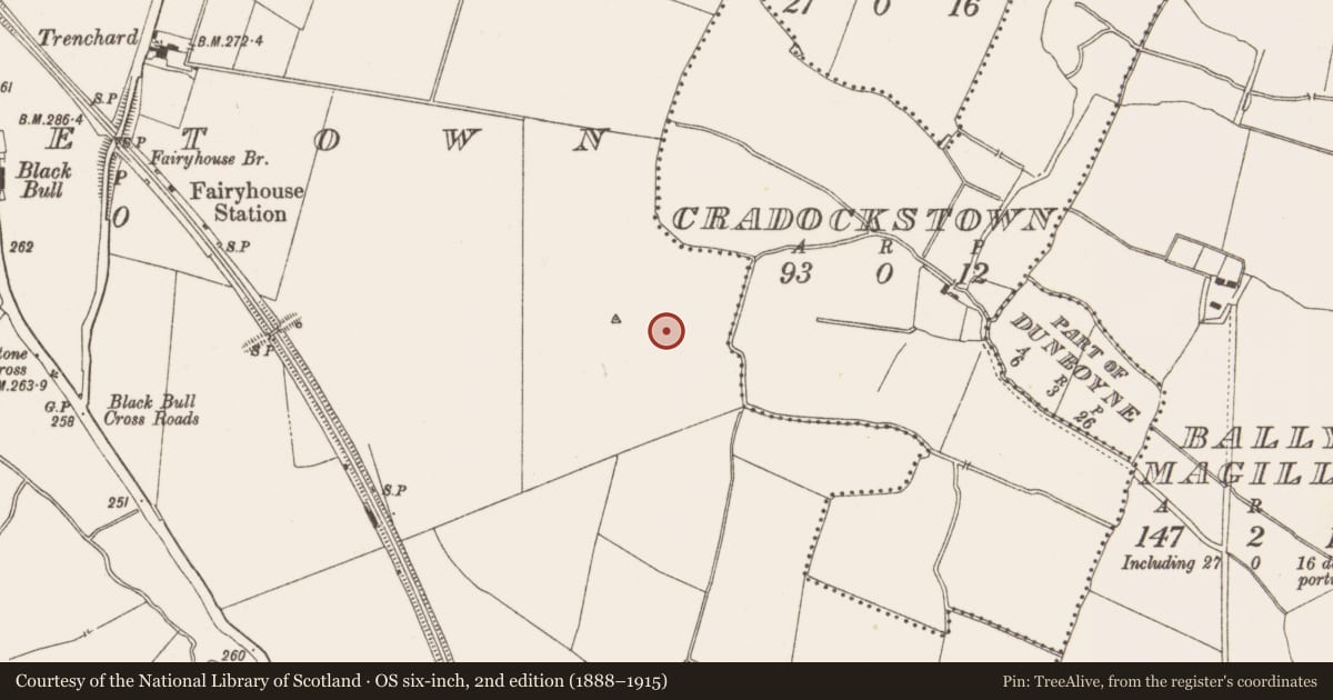 Ordnance Survey six-inch map, 2nd edition (1888–1915) covering the location of Excavation - miscellaneous, Piercetown, County Meath, with a pin at the register's coordinates