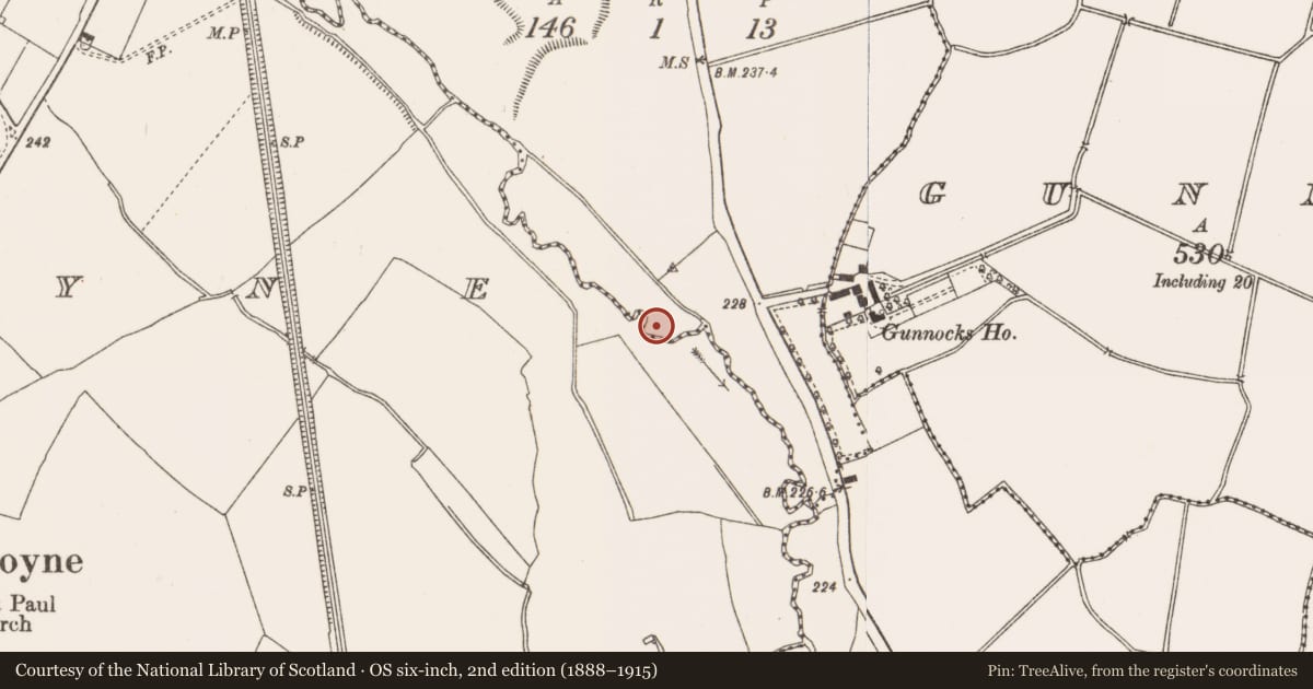 Ordnance Survey six-inch map, 2nd edition (1888–1915) covering the location of Fulacht fia, Bracetown, County Meath, with a pin at the register's coordinates