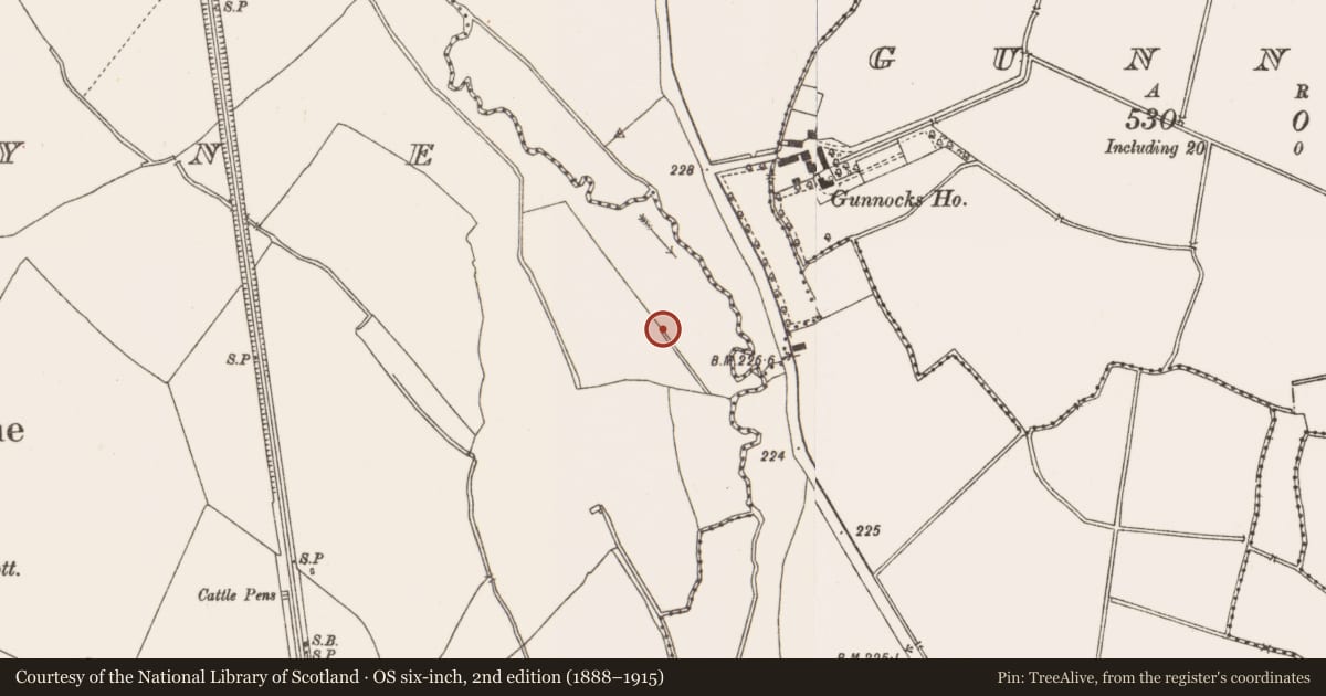 Ordnance Survey six-inch map, 2nd edition (1888–1915) covering the location of Pit-burial, Dunboyne, County Meath, with a pin at the register's coordinates