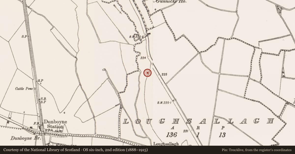 Ordnance Survey six-inch map, 2nd edition (1888–1915) covering the location of Road - road/trackway, Loughsallagh, County Meath, with a pin at the register's coordinates