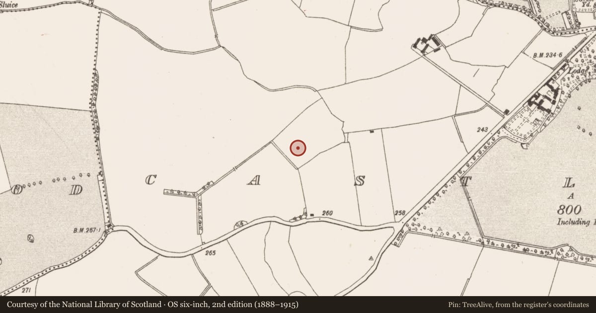 Ordnance Survey six-inch map, 2nd edition (1888–1915) covering the location of Enclosure - large enclosure, Castlefarm, County Meath, with a pin at the register's coordinates
