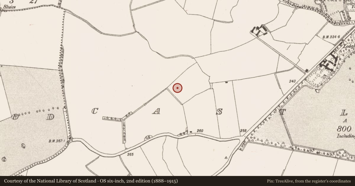Ordnance Survey six-inch map, 2nd edition (1888–1915) covering the location of Well, Castlefarm, County Meath, with a pin at the register's coordinates