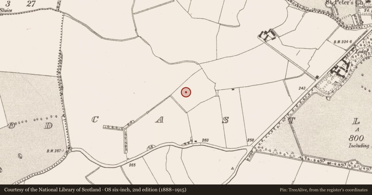 Ordnance Survey six-inch map, 2nd edition (1888–1915) covering the location of Kiln - corn-drying, Castlefarm, County Meath, with a pin at the register's coordinates