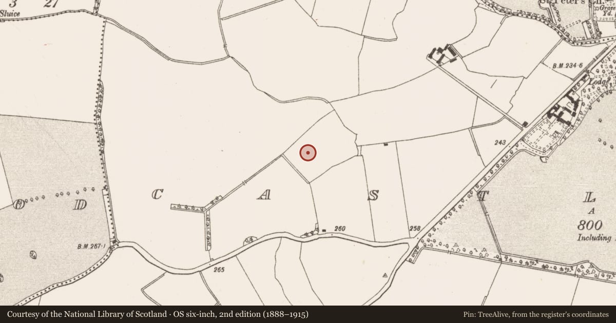 Ordnance Survey six-inch map, 2nd edition (1888–1915) covering the location of Metalworking site, Castlefarm, County Meath, with a pin at the register's coordinates