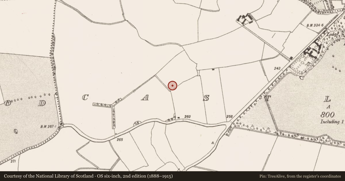 Ordnance Survey six-inch map, 2nd edition (1888–1915) covering the location of Burial, Castlefarm, County Meath, with a pin at the register's coordinates