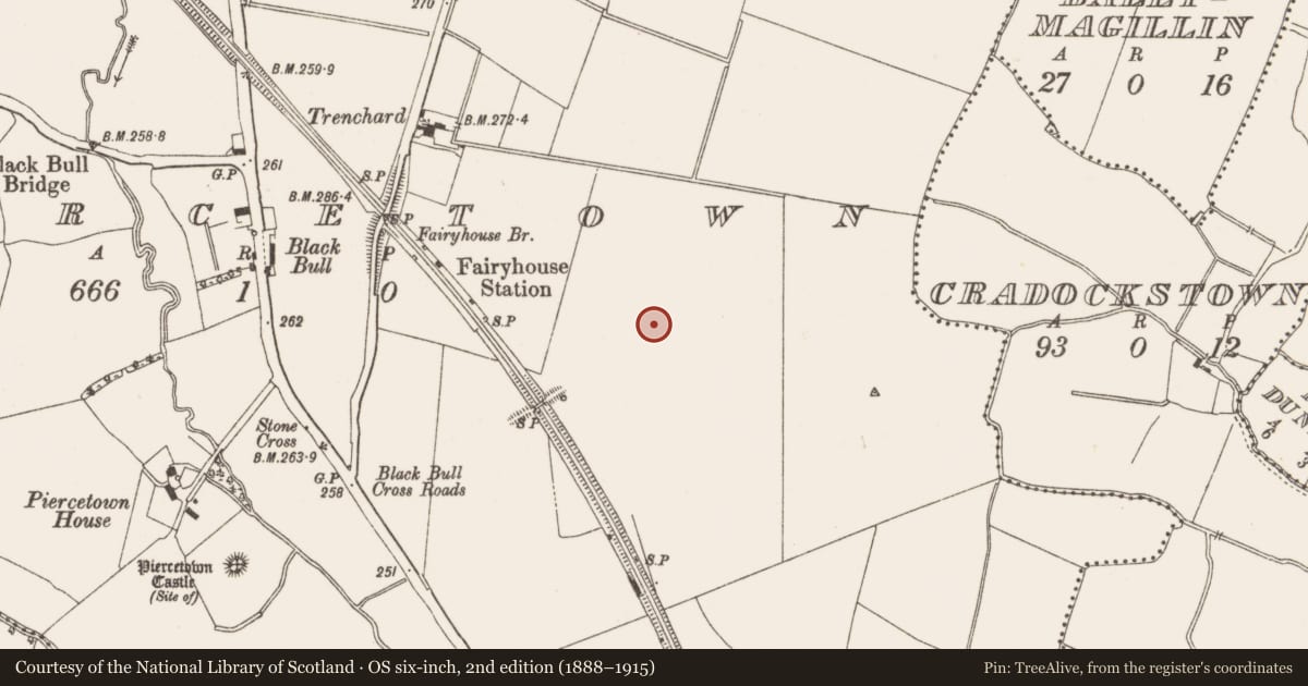 Ordnance Survey six-inch map, 2nd edition (1888–1915) covering the location of Excavation - miscellaneous, Piercetown, County Meath, with a pin at the register's coordinates
