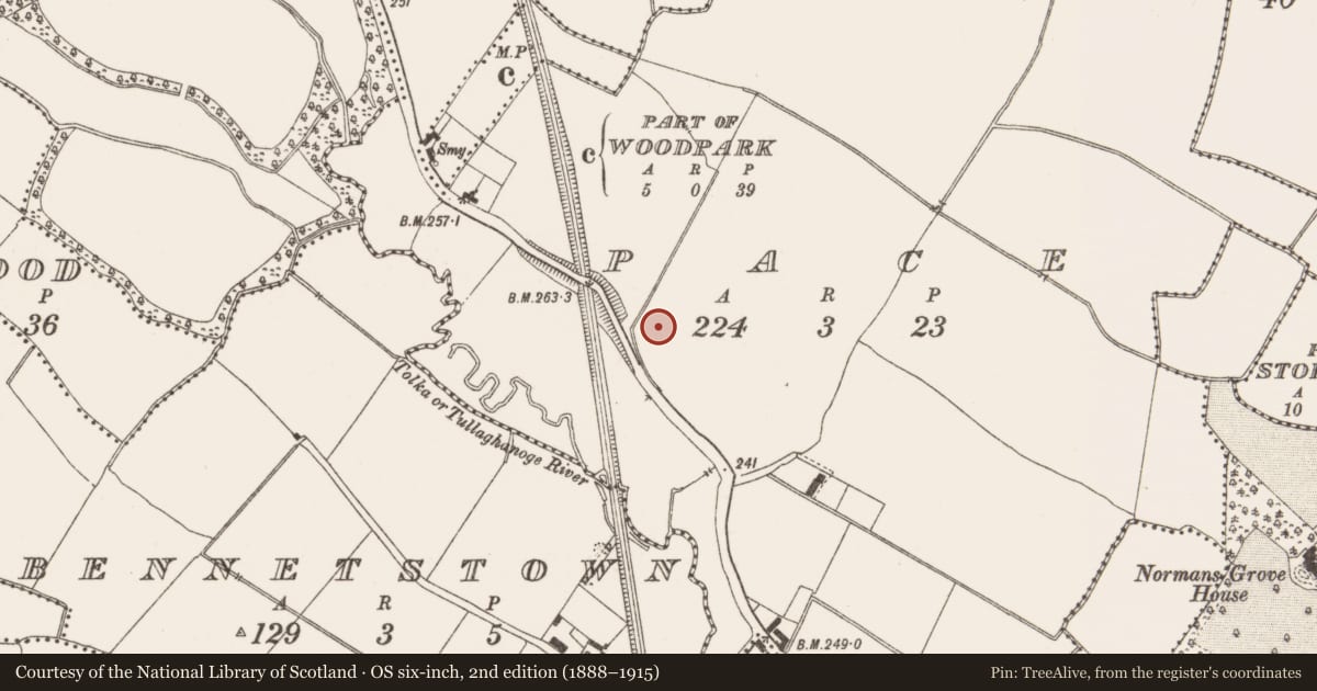 Ordnance Survey six-inch map, 2nd edition (1888–1915) covering the location of Excavation - miscellaneous, Pace, County Meath, with a pin at the register's coordinates