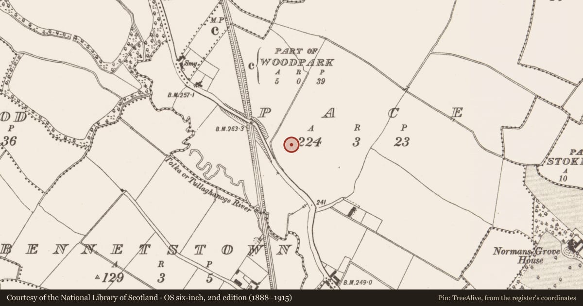 Ordnance Survey six-inch map, 2nd edition (1888–1915) covering the location of Kiln - corn-drying, Pace, County Meath, with a pin at the register's coordinates