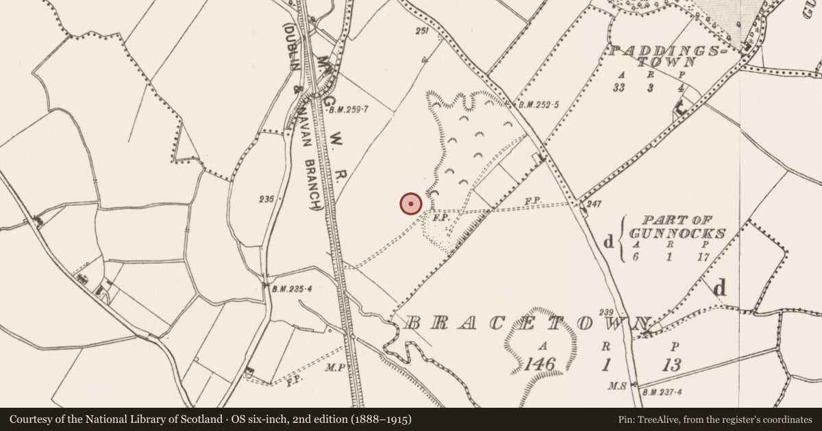 Ordnance Survey six-inch map, 2nd edition (1888–1915) covering the location of Pit, Dunboyne, County Meath, with a pin at the register's coordinates