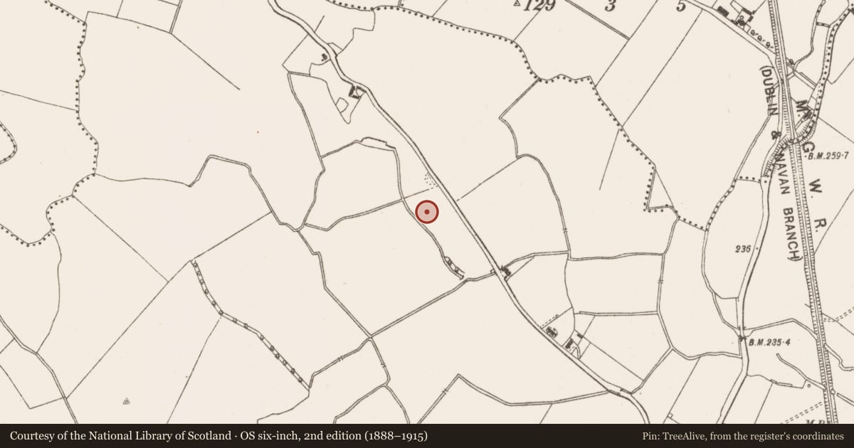 Ordnance Survey six-inch map, 2nd edition (1888–1915) covering the location of Structure, Dunboyne, County Meath, with a pin at the register's coordinates
