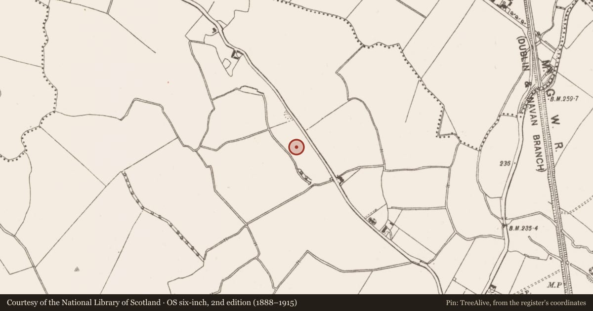 Ordnance Survey six-inch map, 2nd edition (1888–1915) covering the location of Kiln, Dunboyne, County Meath, with a pin at the register's coordinates