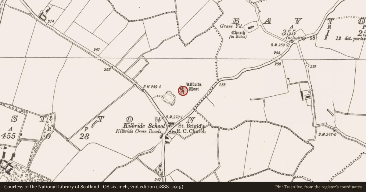 Ordnance Survey six-inch map, 2nd edition (1888–1915) covering the location of Castle - motte, Priest Town, County Meath, with a pin at the register's coordinates