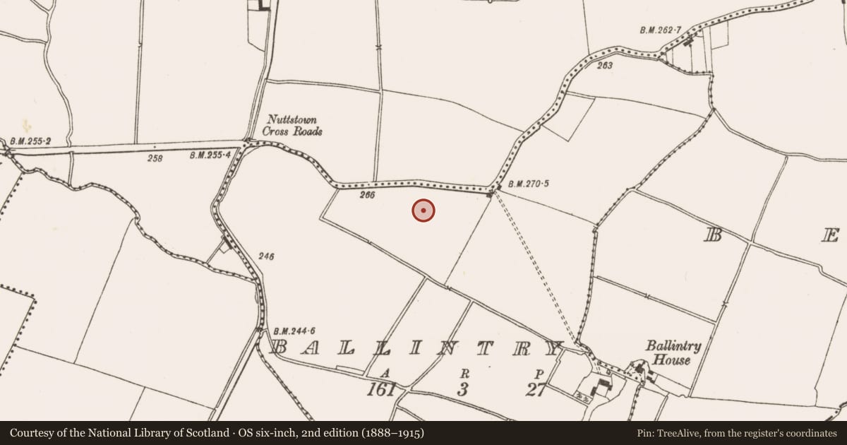 Ordnance Survey six-inch map, 2nd edition (1888–1915) covering the location of Enclosure, Ballintry, County Meath, with a pin at the register's coordinates