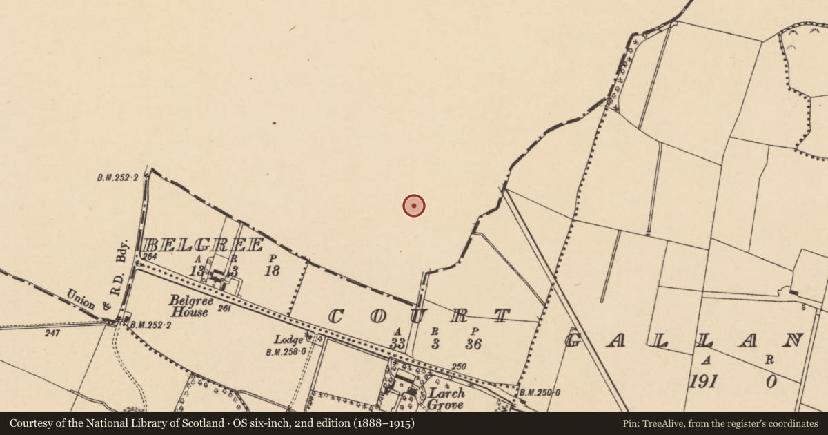 Ordnance Survey six-inch map, 2nd edition (1888–1915) covering the location of Field system, Court, County Meath, with a pin at the register's coordinates