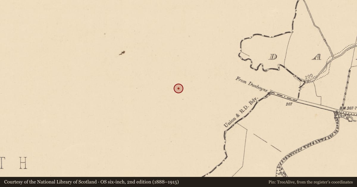 Ordnance Survey six-inch map, 2nd edition (1888–1915) covering the location of Graveyard, Clonee, County Meath, with a pin at the register's coordinates