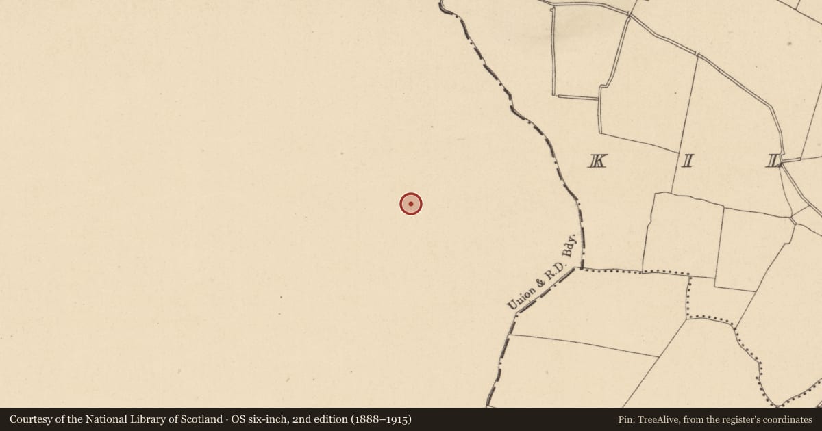 Ordnance Survey six-inch map, 2nd edition (1888–1915) covering the location of Enclosure, Calliaghwee, County Meath, with a pin at the register's coordinates
