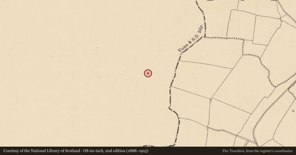 Ordnance Survey six-inch map, 2nd edition (1888–1915) covering the location of Enclosure, Calliaghwee, County Meath, with a pin at the register's coordinates