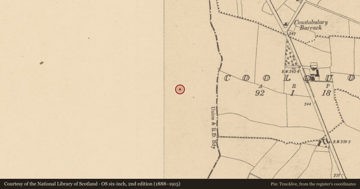 Ordnance Survey six-inch map, 2nd edition (1888–1915) covering the location of Enclosure, Irishtown, County Meath, with a pin at the register's coordinates