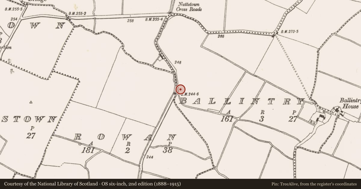 Ordnance Survey six-inch map, 2nd edition (1888–1915) covering the location of Ring-ditch, Ballintry, County Meath, with a pin at the register's coordinates