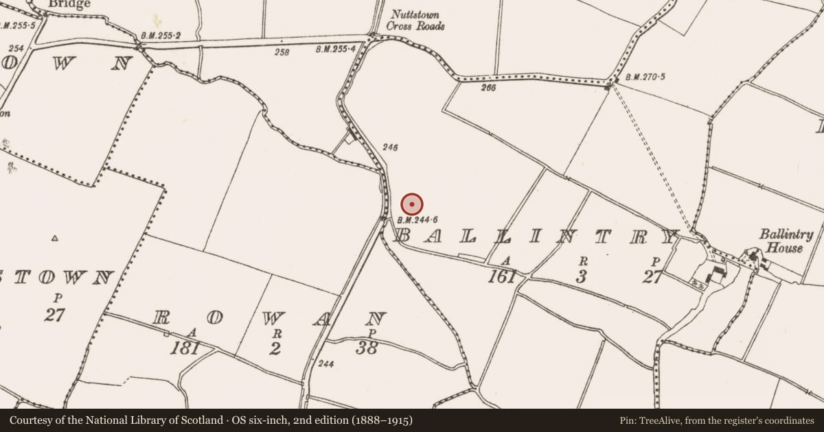 Ordnance Survey six-inch map, 2nd edition (1888–1915) covering the location of Ring-ditch, Ballintry, County Meath, with a pin at the register's coordinates