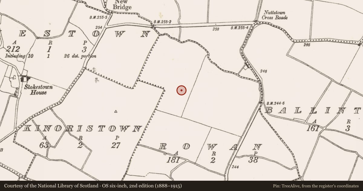 Ordnance Survey six-inch map, 2nd edition (1888–1915) covering the location of Ring-ditch, Rowan, County Meath, with a pin at the register's coordinates
