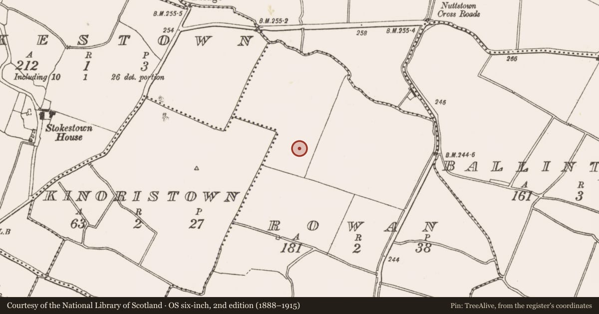 Ordnance Survey six-inch map, 2nd edition (1888–1915) covering the location of Ring-ditch, Rowan, County Meath, with a pin at the register's coordinates