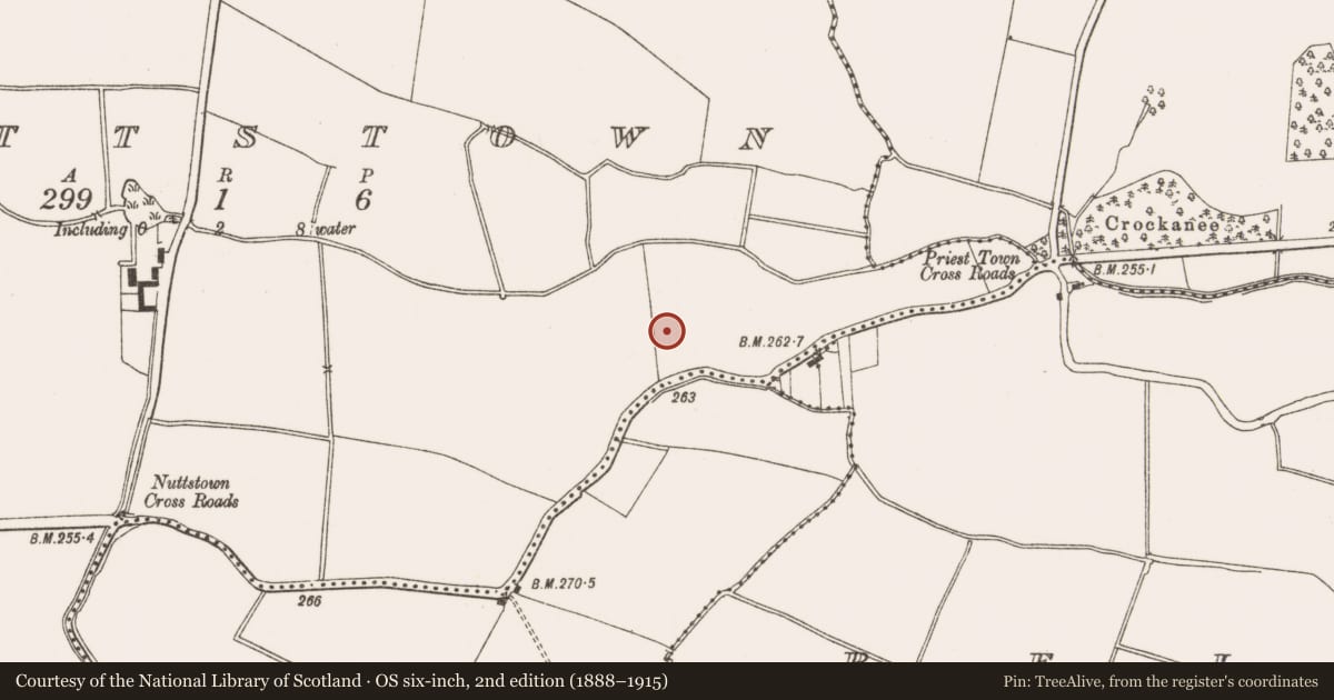 Ordnance Survey six-inch map, 2nd edition (1888–1915) covering the location of Enclosure, Nuttstown, County Meath, with a pin at the register's coordinates