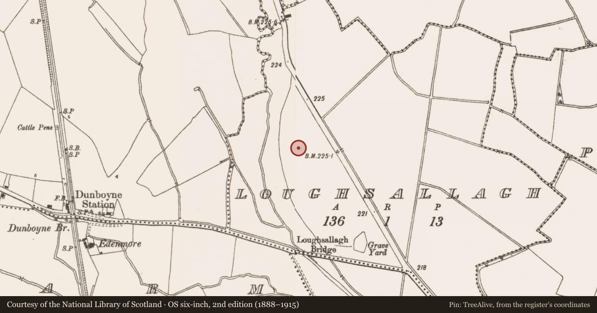 Ordnance Survey six-inch map, 2nd edition (1888–1915) covering the location of Enclosure, Loughsallagh, County Meath, with a pin at the register's coordinates