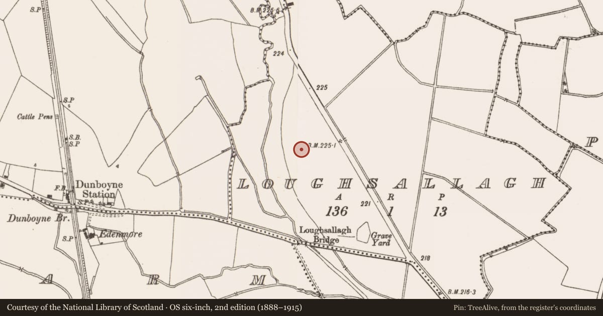 Ordnance Survey six-inch map, 2nd edition (1888–1915) covering the location of Ring-ditch, Loughsallagh, County Meath, with a pin at the register's coordinates