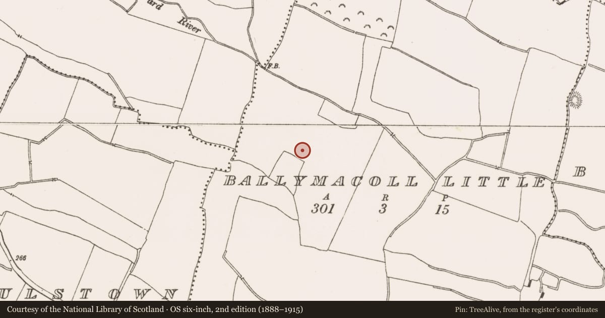 Ordnance Survey six-inch map, 2nd edition (1888–1915) covering the location of Ring-ditch, Ballymacoll Little, County Meath, with a pin at the register's coordinates