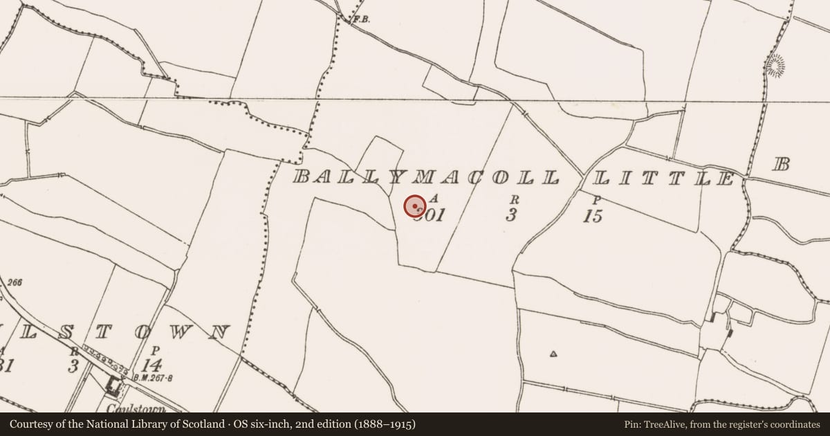 Ordnance Survey six-inch map, 2nd edition (1888–1915) covering the location of Field system, Ballymacoll Little, County Meath, with a pin at the register's coordinates