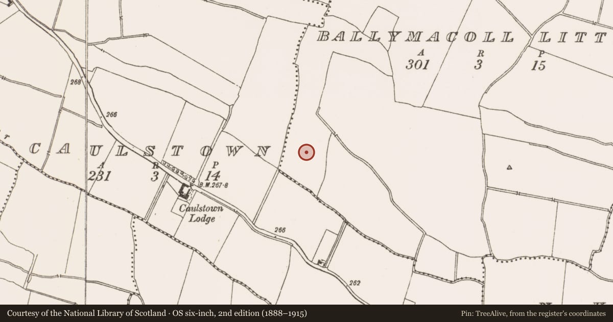 Ordnance Survey six-inch map, 2nd edition (1888–1915) covering the location of Ring-ditch, Ballymacoll Little, County Meath, with a pin at the register's coordinates