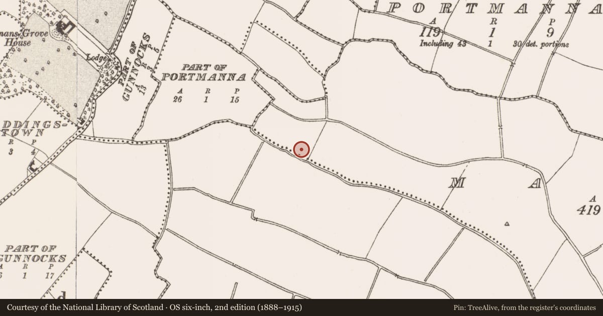 Ordnance Survey six-inch map, 2nd edition (1888–1915) covering the location of Ring-ditch, Mayne, County Meath, with a pin at the register's coordinates