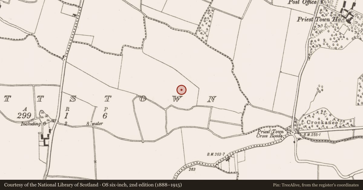 Ordnance Survey six-inch map, 2nd edition (1888–1915) covering the location of Enclosure, Nuttstown, County Meath, with a pin at the register's coordinates