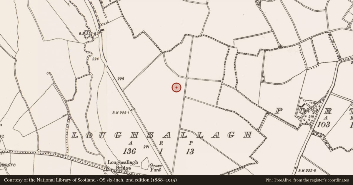 Ordnance Survey six-inch map, 2nd edition (1888–1915) covering the location of Pit, Loughsallagh, County Meath, with a pin at the register's coordinates