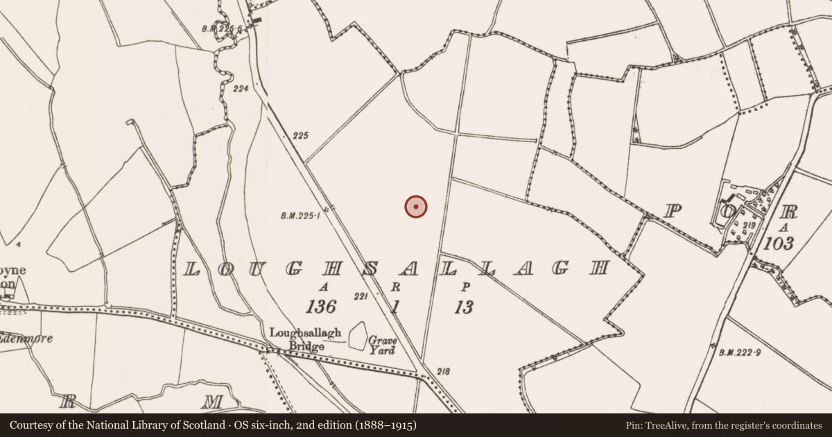 Ordnance Survey six-inch map, 2nd edition (1888–1915) covering the location of Excavation - miscellaneous, Loughsallagh, County Meath, with a pin at the register's coordinates