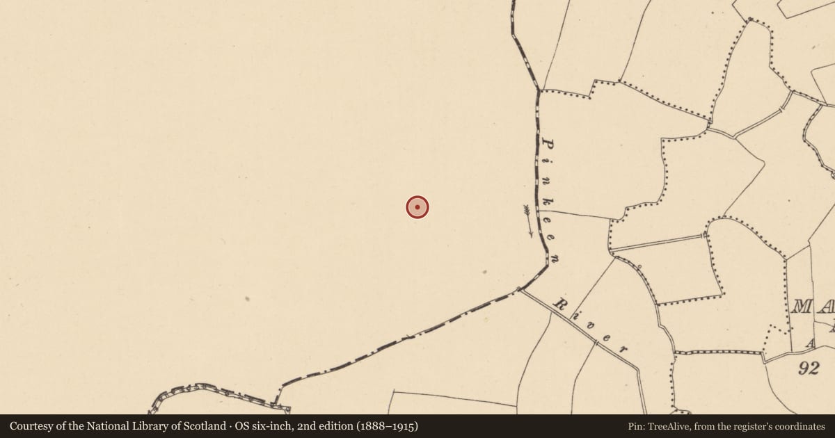Ordnance Survey six-inch map, 2nd edition (1888–1915) covering the location of Fulacht fia, Gunnocks, County Meath, with a pin at the register's coordinates