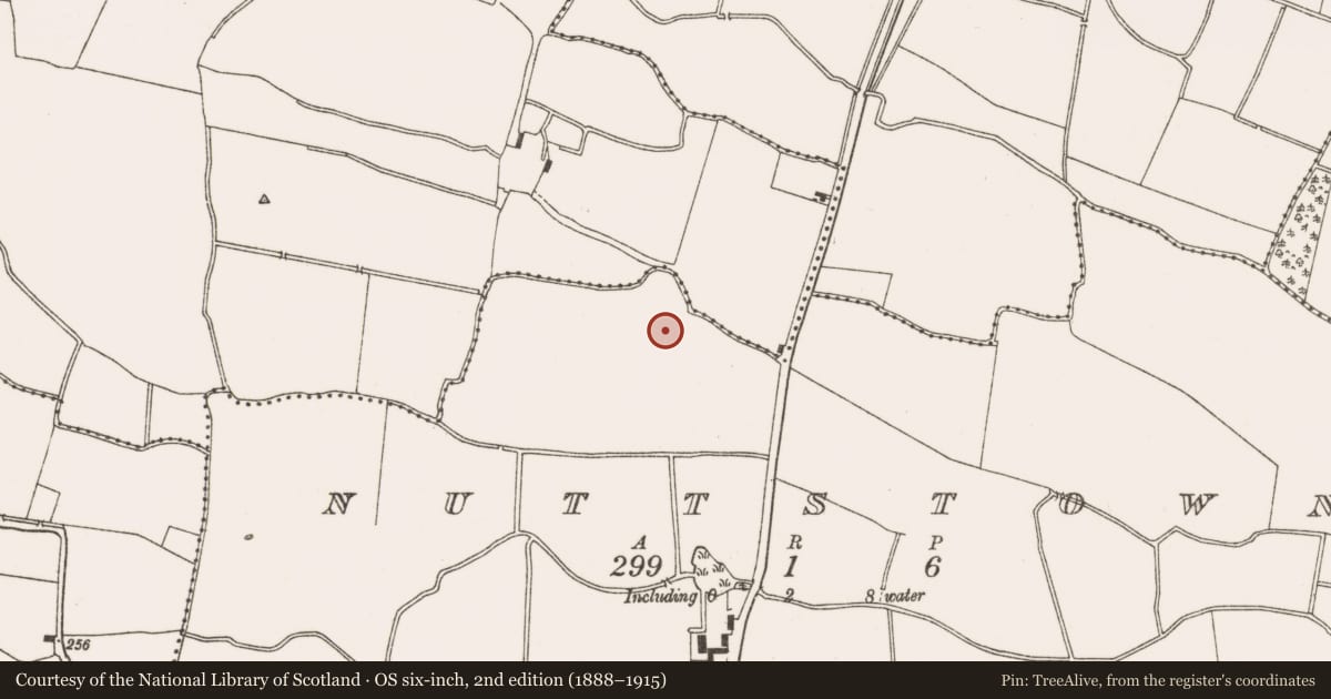 Ordnance Survey six-inch map, 2nd edition (1888–1915) covering the location of Enclosure, Nuttstown, County Meath, with a pin at the register's coordinates