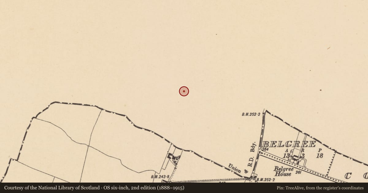 Ordnance Survey six-inch map, 2nd edition (1888–1915) covering the location of Ring-ditch, Belgree, County Meath, with a pin at the register's coordinates