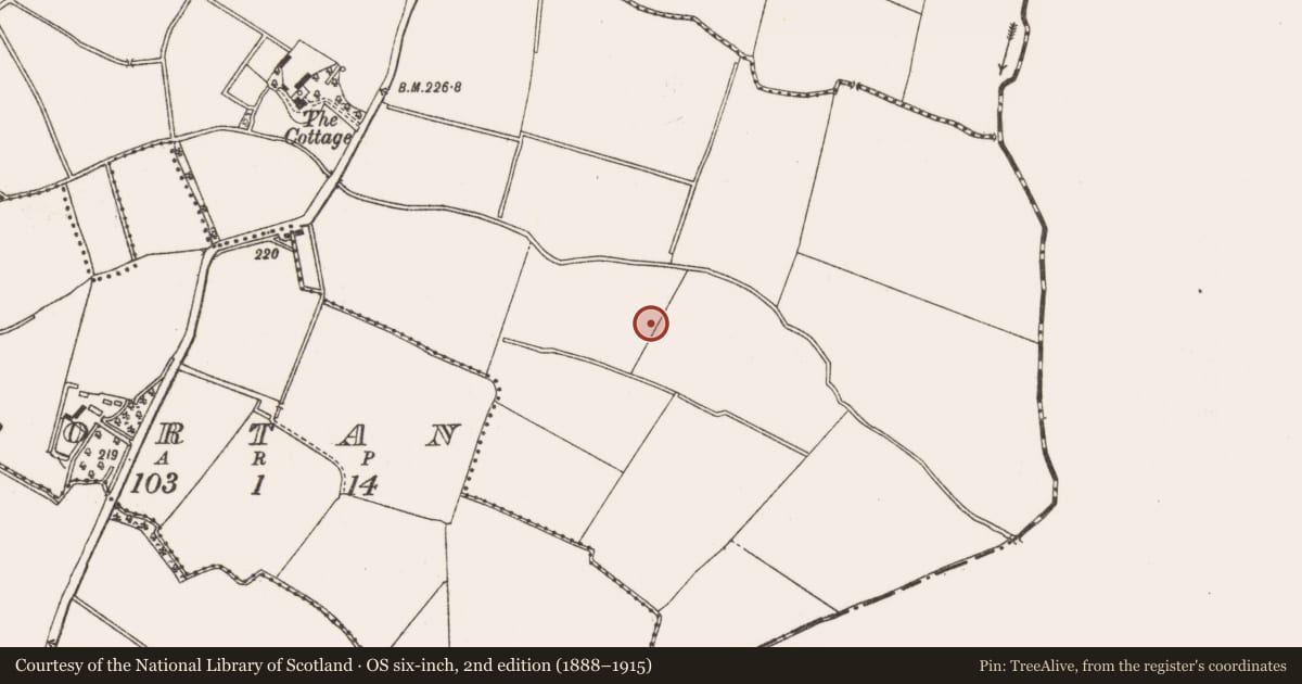 Ordnance Survey six-inch map, 2nd edition (1888–1915) covering the location of Pit, Gunnocks, County Meath, with a pin at the register's coordinates
