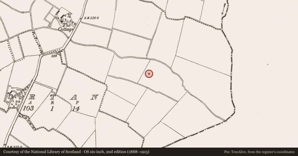 Ordnance Survey six-inch map, 2nd edition (1888–1915) covering the location of Pit, Gunnocks, County Meath, with a pin at the register's coordinates