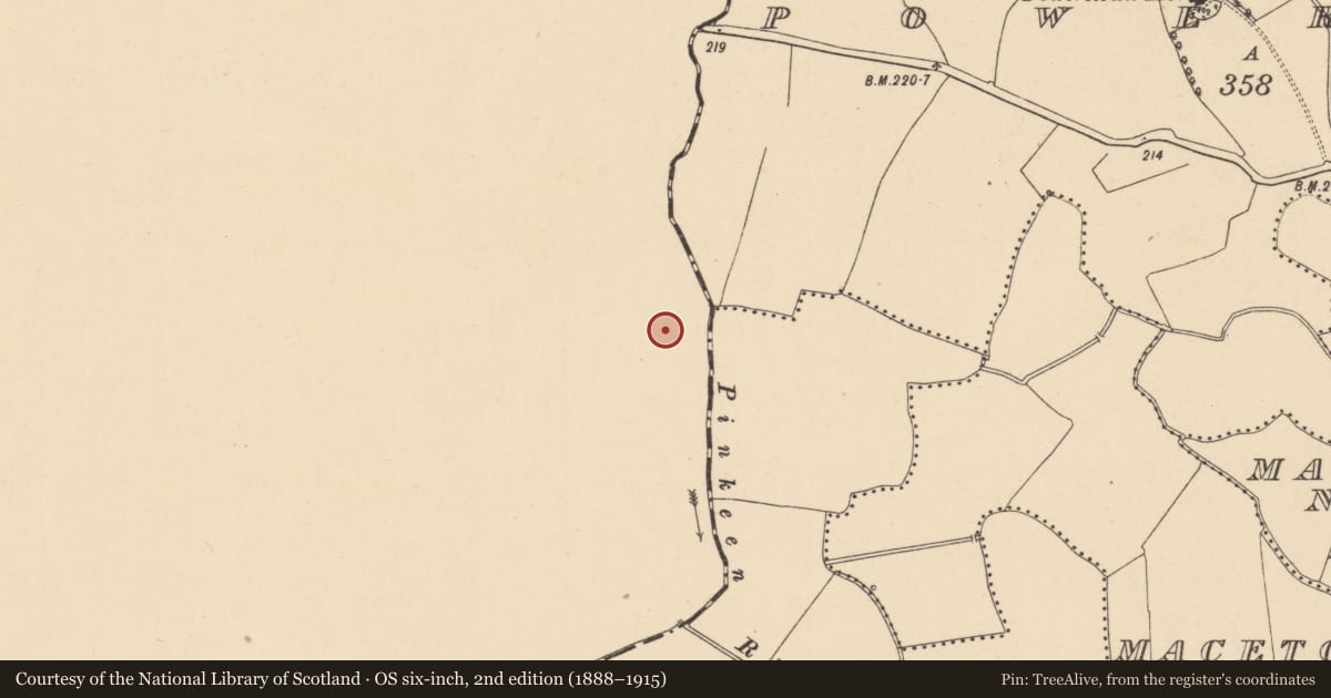 Ordnance Survey six-inch map, 2nd edition (1888–1915) covering the location of Pit, Gunnocks, County Meath, with a pin at the register's coordinates