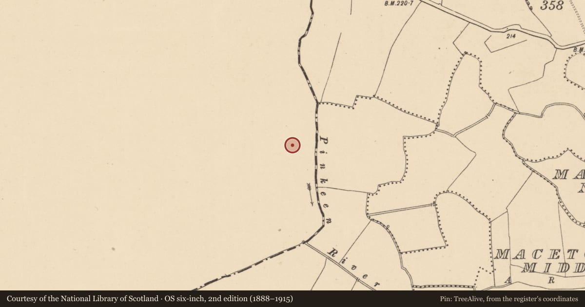Ordnance Survey six-inch map, 2nd edition (1888–1915) covering the location of Kiln - corn-drying, Gunnocks, County Meath, with a pin at the register's coordinates